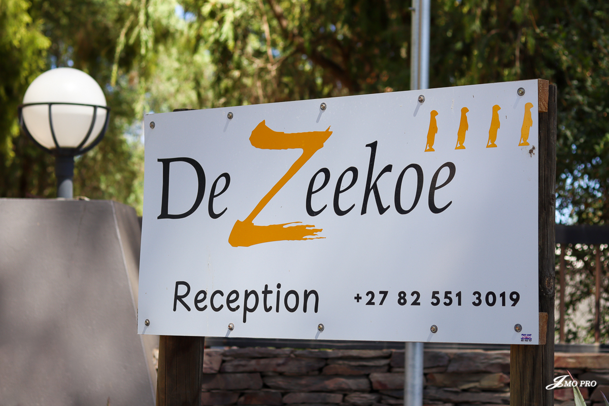 De Zeekoe